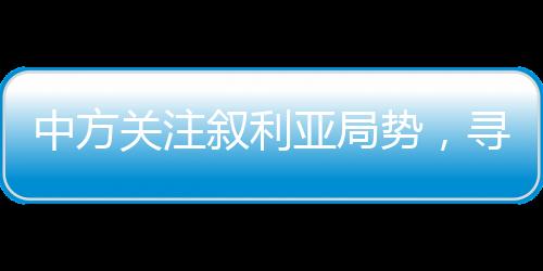 中方關(guān)注敘利亞局勢(shì)，尋求持久和平之路