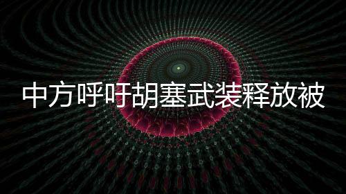 中方呼吁胡塞武裝釋放被扣押人員