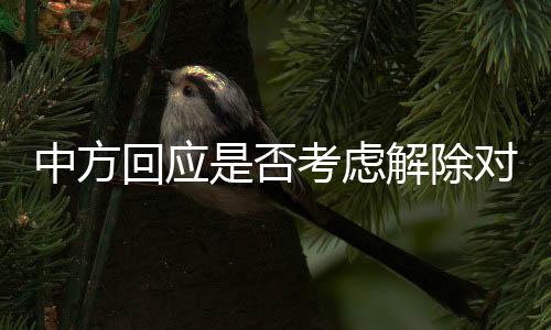 中方回應(yīng)是否考慮解除對(duì)魯比奧制裁