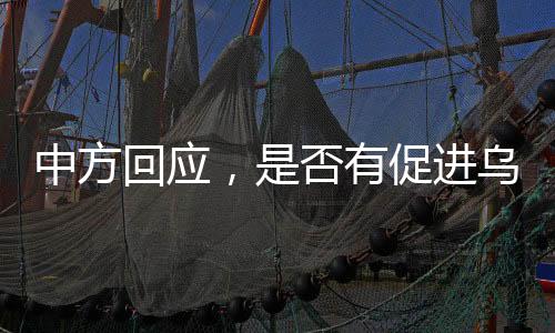 中方回應(yīng)，是否有促進(jìn)烏克蘭和平新計(jì)劃