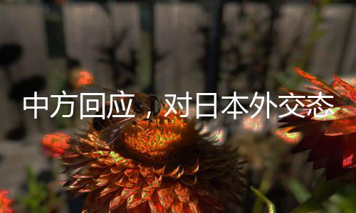 中方回應，對日本外交態(tài)度將更加嚴厲