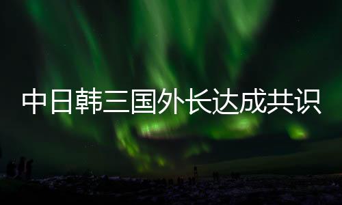 中日韓三國(guó)外長(zhǎng)達(dá)成共識(shí)，深化合作，促進(jìn)地區(qū)和平與發(fā)展