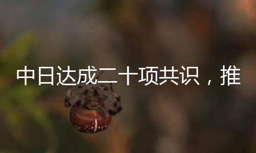 中日達成二十項共識，推動兩國關系邁向新篇章