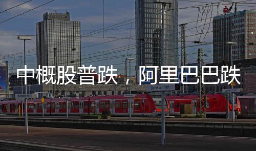 中概股普跌，阿里巴巴跌逾10%，市場(chǎng)波動(dòng)下的行業(yè)分析