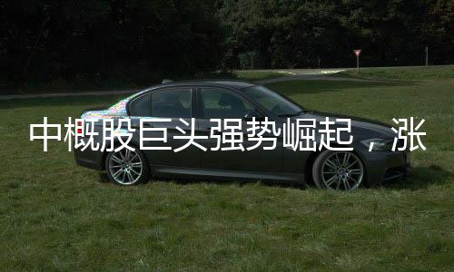 中概股巨頭強(qiáng)勢(shì)崛起，漲幅一度超過(guò)900%！