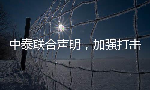 中泰聯(lián)合聲明，加強(qiáng)打擊人口販運(yùn)