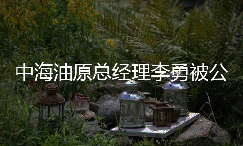 中海油原總經(jīng)理李勇被公訴，揭秘事件背后細(xì)節(jié)