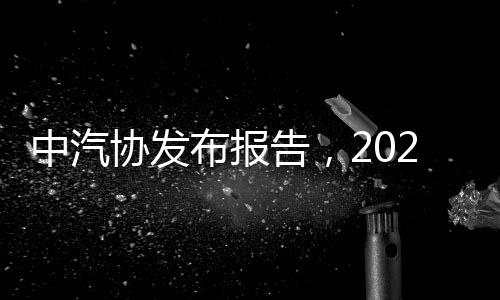 中汽協(xié)發(fā)布報(bào)告，2024年12月汽車出口量達(dá)50.4萬(wàn)輛