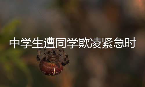 中學生遭同學欺凌緊急時刻被勇敢市民救下