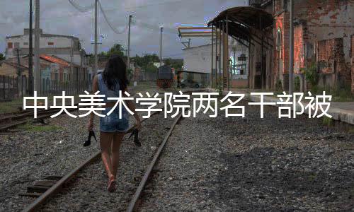 中央美術(shù)學院兩名干部被查，透視內(nèi)部管理漏洞與反腐倡廉的必要措施