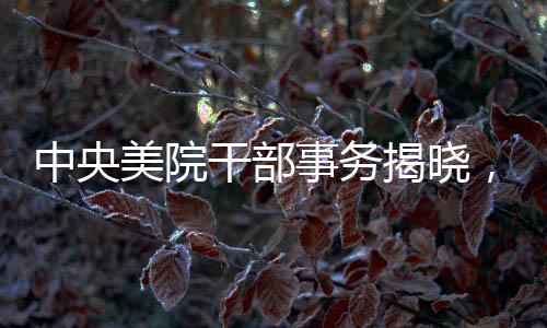 中央美院干部事務(wù)揭曉，兩官被查，一人主動投案