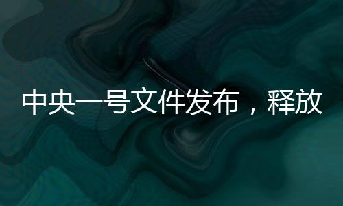 中央一號(hào)文件發(fā)布，釋放多重新信號(hào)，引領(lǐng)未來(lái)發(fā)展新方向