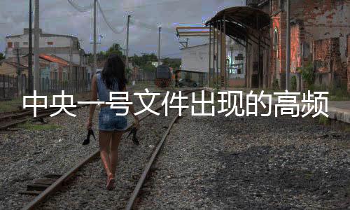 中央一號(hào)文件出現(xiàn)的高頻詞匯概覽