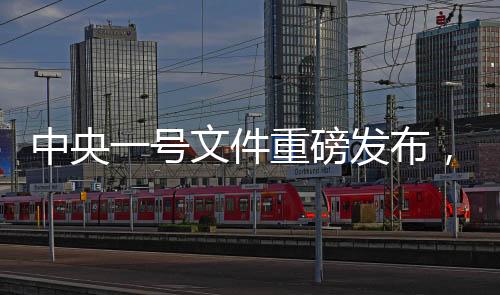 中央一號(hào)文件重磅發(fā)布，提高城鄉(xiāng)居民養(yǎng)老金