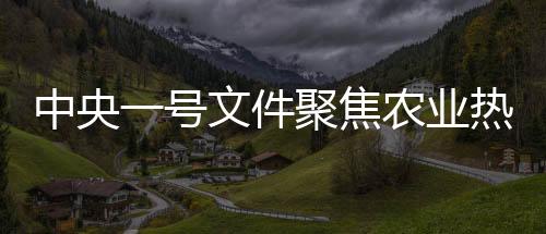 中央一號(hào)文件聚焦農(nóng)業(yè)熱點(diǎn)，揭秘其中的高頻詞匯