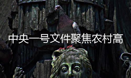 中央一號文件聚焦農(nóng)村高額彩禮治理，倡導(dǎo)文明新風(fēng)重塑鄉(xiāng)村風(fēng)貌