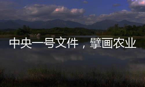 中央一號(hào)文件，擘畫(huà)農(nóng)業(yè)農(nóng)村現(xiàn)代化新藍(lán)圖