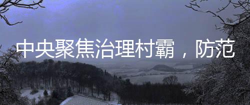 中央聚焦治理村霸，防范遏制地方黑惡勢力