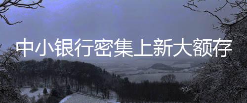 中小銀行密集上新大額存單，新的市場機遇與挑戰(zhàn)