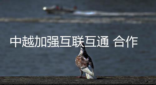 中越加強互聯(lián)互通 合作書寫發(fā)展新篇章