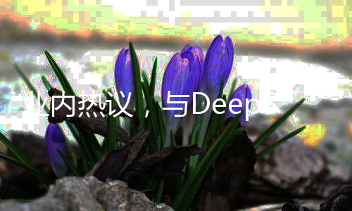 業(yè)內(nèi)熱議，與DeepSeek并肩之路，非自封可得