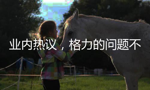 業(yè)內(nèi)熱議，格力的問題不在于是否改名