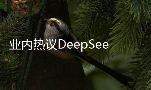 業(yè)內(nèi)熱議DeepSeek創(chuàng)始人，技術(shù)理想主義的踐行者