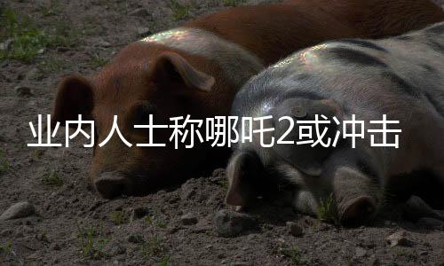 業(yè)內(nèi)人士稱哪吒2或沖擊全球影史前三，引發(fā)期待熱潮
