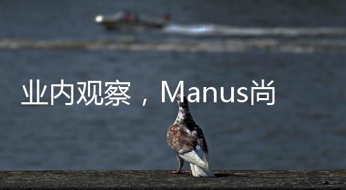 業(yè)內(nèi)觀察，Manus尚未引爆硅谷覺醒之力