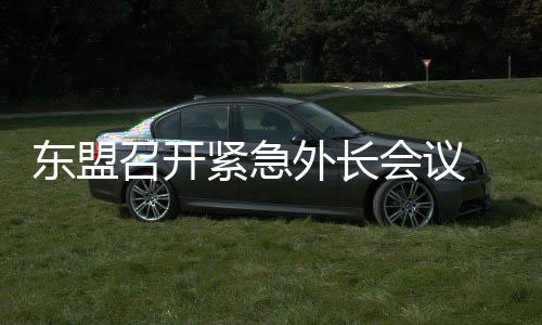 東盟召開緊急外長會(huì)議 應(yīng)對(duì)緬甸地震