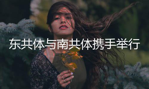東共體與南共體攜手舉行史無(wú)前例聯(lián)合峰會(huì)
