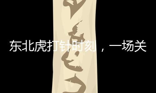 東北虎打針時刻，一場關(guān)乎生命與敬畏的溫柔護理