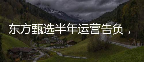東方甄選半年運(yùn)營(yíng)告負(fù)，虧損達(dá)9650.3萬(wàn)元——挑戰(zhàn)與機(jī)遇并存的企業(yè)轉(zhuǎn)型之路