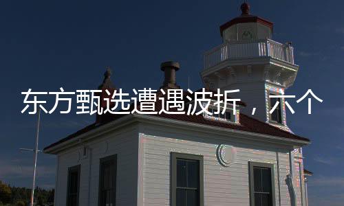 東方甄選遭遇波折，六個(gè)月內(nèi)凈虧9650.3萬元