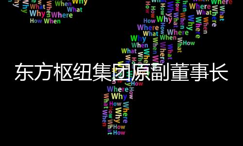 東方樞紐集團(tuán)原副董事長徐孫慶接受審查調(diào)查