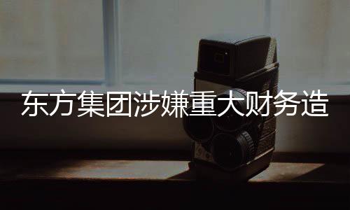東方集團(tuán)涉嫌重大財(cái)務(wù)造假，引發(fā)市場震動(dòng)