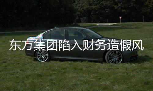 東方集團陷入財務(wù)造假風(fēng)波