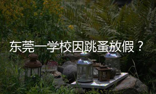 東莞一學(xué)校因跳蚤放假？教育局回應(yīng)