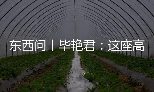 東西問(wèn)丨畢艷君：這座高原古城何以成為絲路青海道上的明珠？