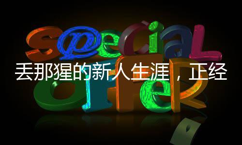 丟那猩的新人生涯，正經(jīng)工作與繡球游戲之道新探