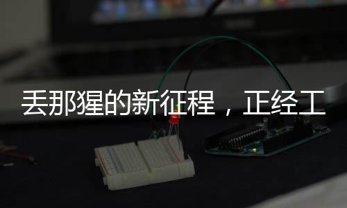 丟那猩的新征程，正經(jīng)工作與拋繡球的跨界碰撞
