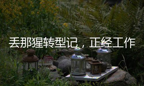 丟那猩轉(zhuǎn)型記，正經(jīng)工作與繡球拋投的新篇章