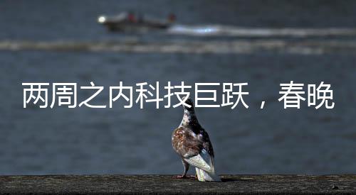 兩周之內(nèi)科技巨躍，春晚后的機(jī)器人進(jìn)化紀(jì)實(shí)