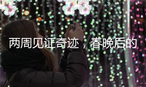 兩周見(jiàn)證奇跡，春晚后的機(jī)器人技術(shù)革新與進(jìn)化歷程