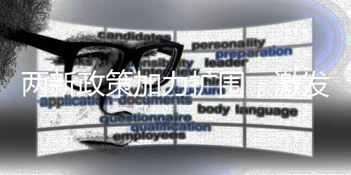 兩新政策加力擴(kuò)圍，激發(fā)市場活力