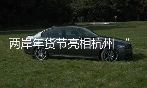 兩岸年貨節(jié)亮相杭州 “臺(tái)灣味”增色大陸民眾餐桌
