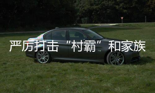 嚴(yán)厲打擊“村霸”和家族宗族黑惡勢(shì)力！最高法發(fā)布5件典型案例
