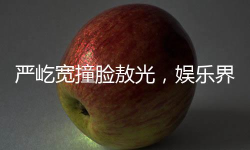 嚴(yán)屹寬撞臉敖光，娛樂界的奇妙緣分揭秘