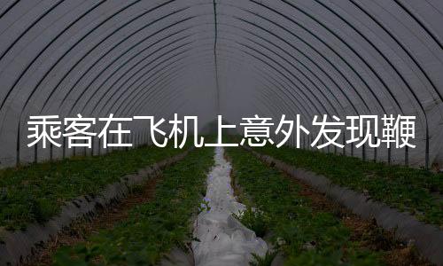 乘客在飛機(jī)上意外發(fā)現(xiàn)鞭炮，引發(fā)關(guān)注與調(diào)查