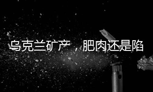 烏克蘭礦產(chǎn)，肥肉還是陷阱？——揭示迷霧之下的真相
